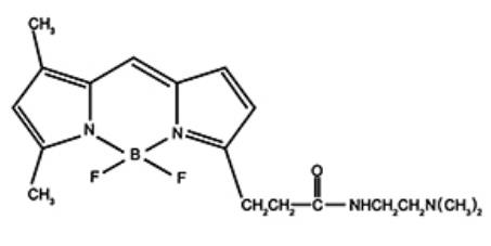 LysoTracker Green DND-26 Structure